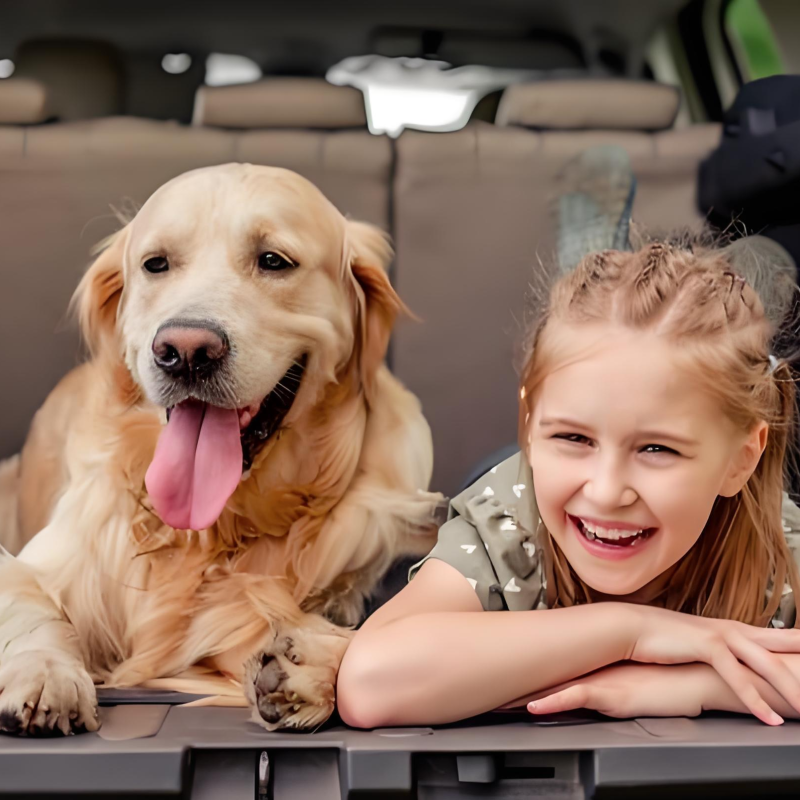 宠物食品/宠物器具/园艺/农牧/鲜花
